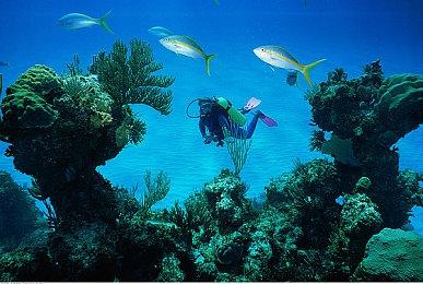 97%好评经典RTS《国家崛起：扩展版》Steam秋促17元